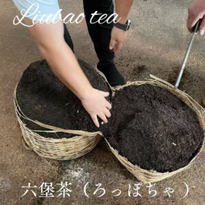 六堡茶
